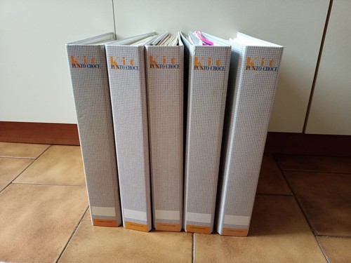 5 raccoglitori punto croce